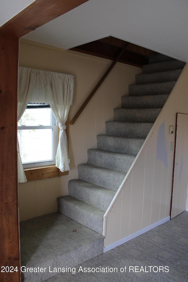 stairs featuring carpet flooring