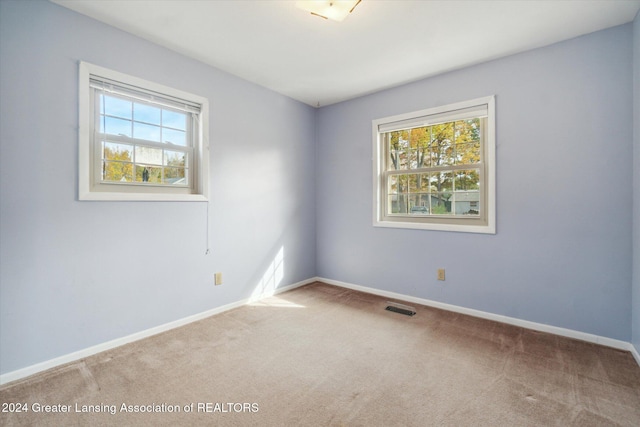 spare room featuring a wealth of natural light and carpet