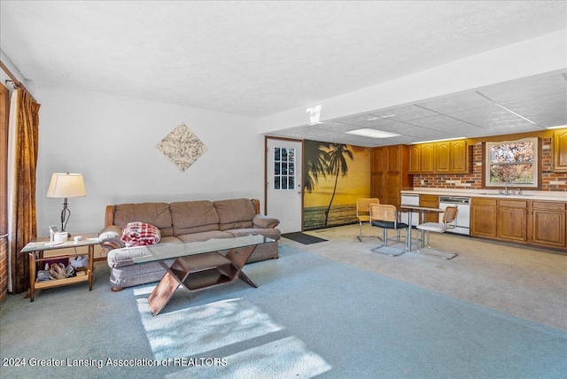 carpeted living room with sink