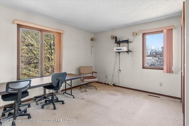 office area with a textured ceiling and light colored carpet