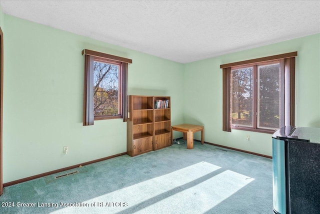 interior space with light carpet and a textured ceiling