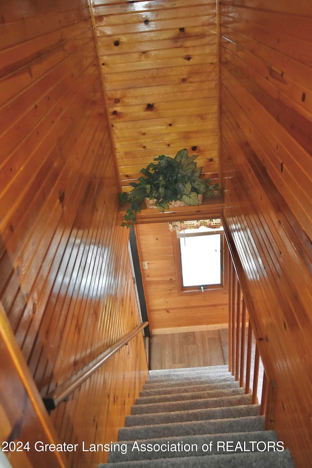 staircase with hardwood / wood-style flooring and wooden walls