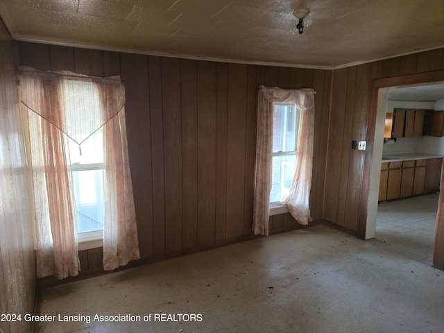 unfurnished room with wooden walls and plenty of natural light