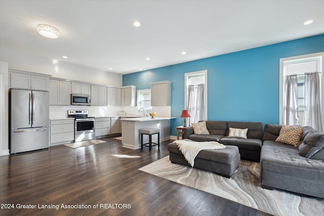 living room with dark hardwood / wood-style floors and sink