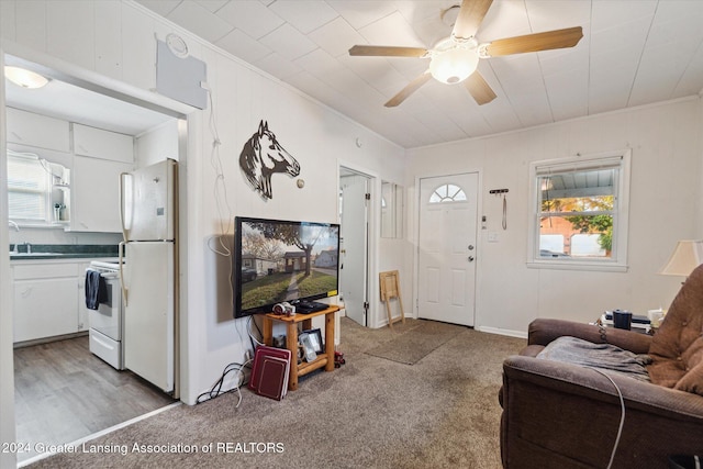 carpeted living room with crown molding, sink, and ceiling fan