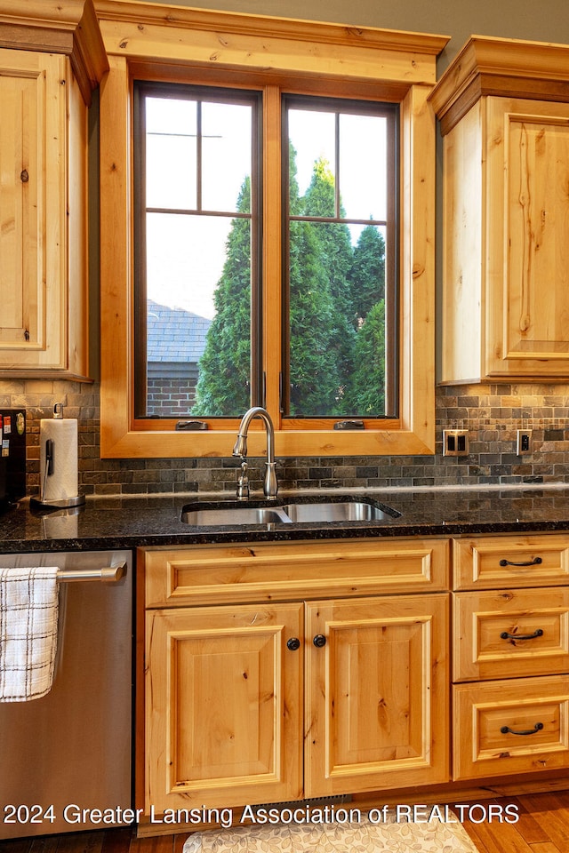 kitchen with dark stone countertops, a healthy amount of sunlight, sink, and stainless steel dishwasher