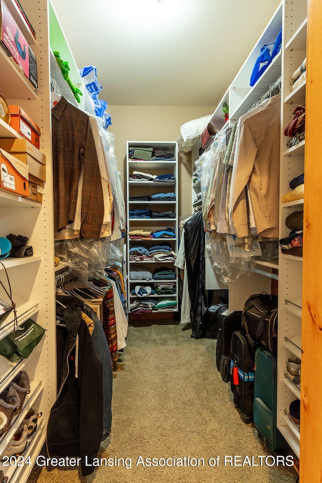 spacious closet with carpet floors