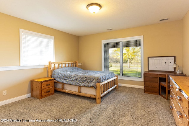 bedroom featuring carpet