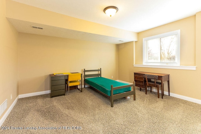 bedroom with carpet floors