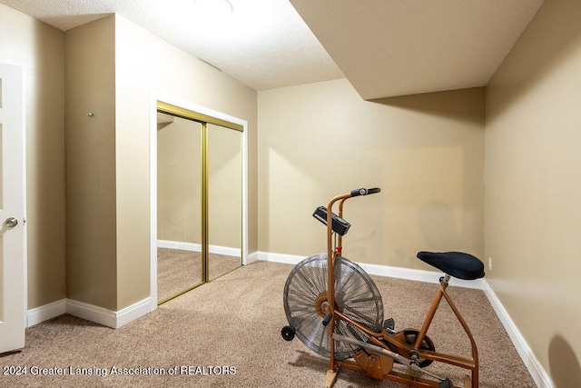 exercise area featuring a textured ceiling and carpet floors