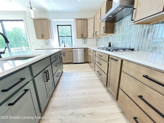 6119 Fresno Ln, East Lansing, MI 48823 - kitchen featuring wall chimney range hood, appliances with stainless steel finishes, gray cabinetry, light wood finished floors, and decorative backsplash