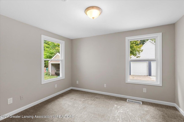 carpeted spare room with a healthy amount of sunlight