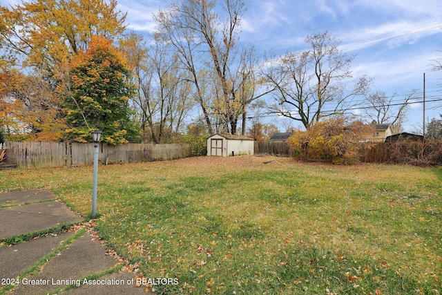 view of yard featuring a shed