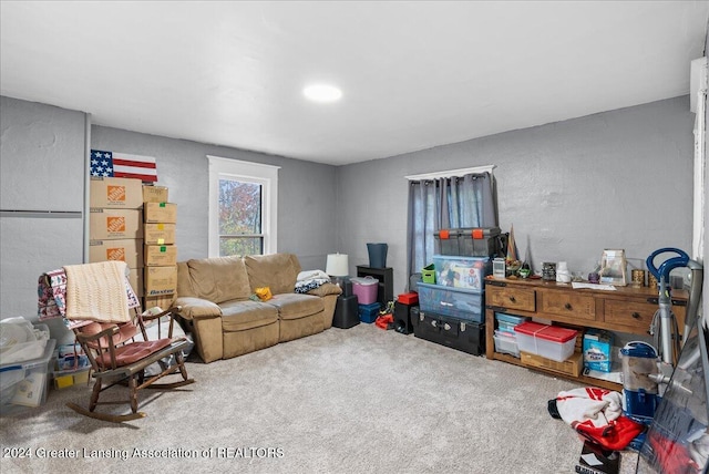 living room with carpet flooring