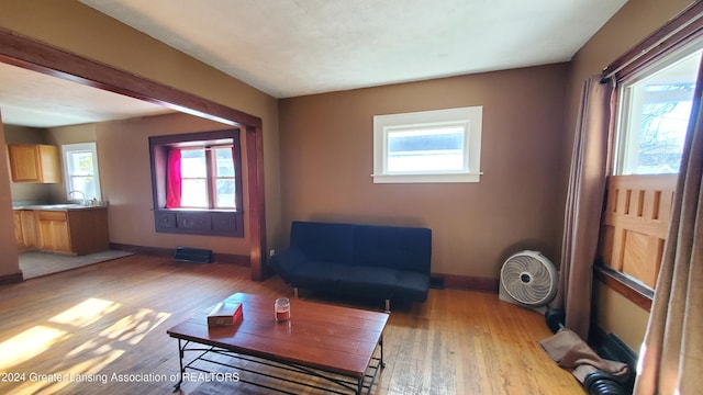 living room featuring light hardwood / wood-style flooring and sink