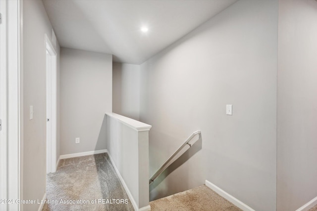 stairs with carpet floors