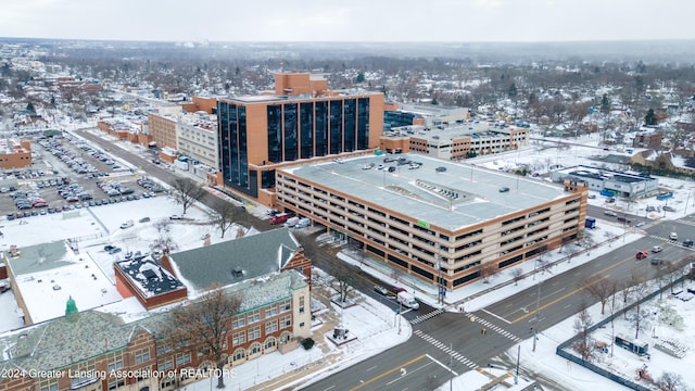 602 N Pennsylvania Ave, Lansing, MI 48912 - city view