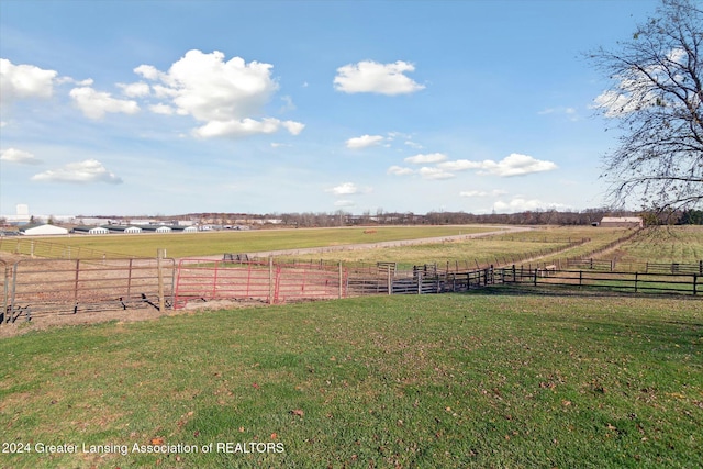 view of yard with a rural view