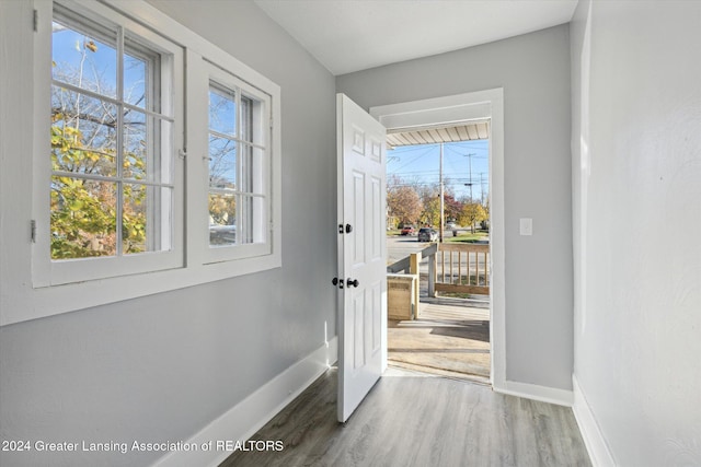 doorway featuring hardwood / wood-style floors