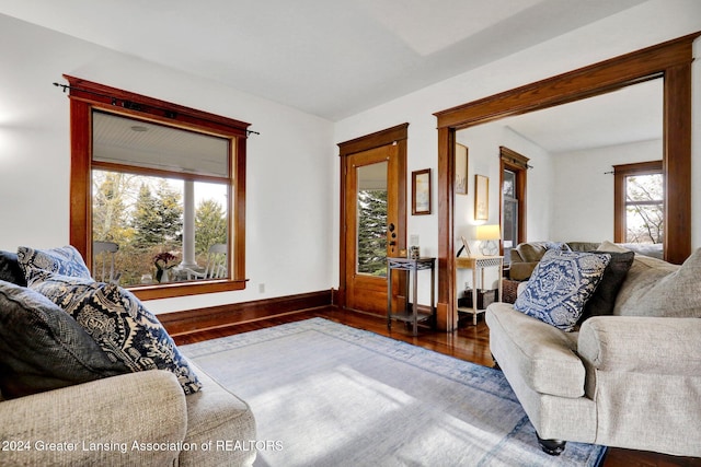 living room featuring hardwood / wood-style floors and a wealth of natural light