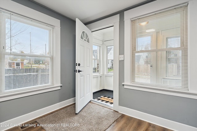 foyer entrance with hardwood / wood-style floors and a wealth of natural light