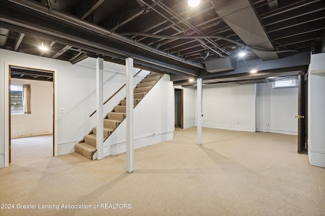 basement featuring carpet