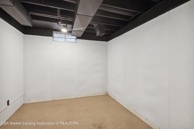 basement featuring carpet floors