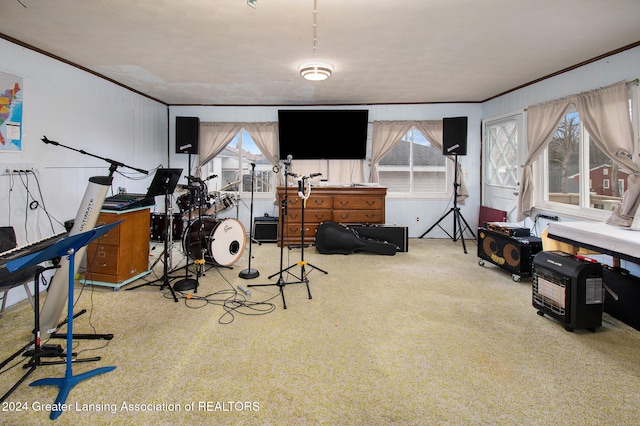 recreation room featuring carpet and crown molding