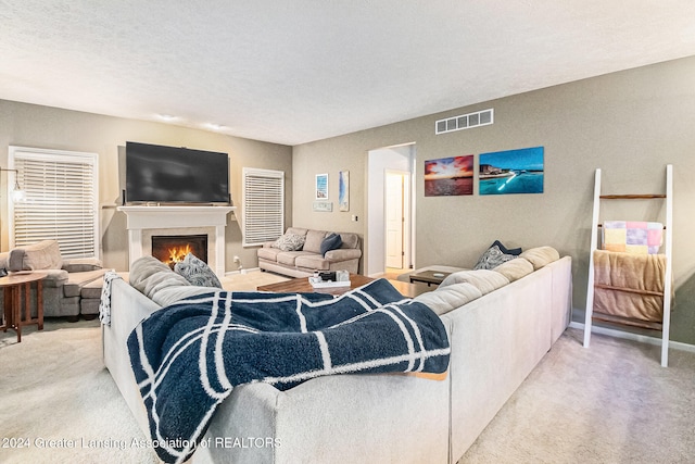 carpeted living room featuring a textured ceiling