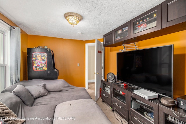 living room featuring a textured ceiling and light carpet