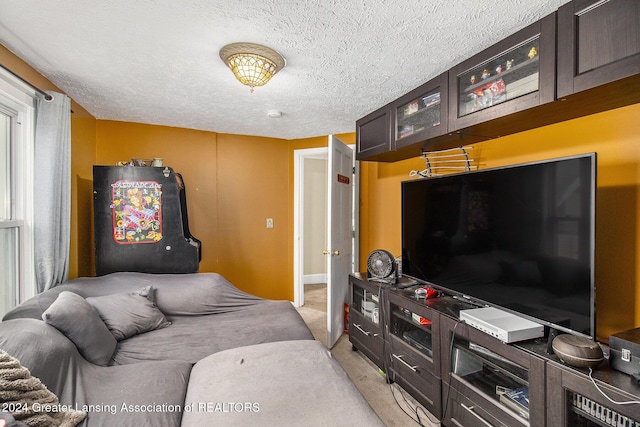 223 S Pennsylvania Ave, Lansing, MI 48912 - living area featuring light carpet, a textured ceiling, and baseboards