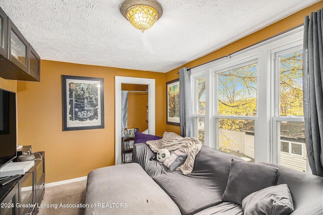 223 S Pennsylvania Ave, Lansing, MI 48912 - carpeted bedroom featuring a textured ceiling and baseboards