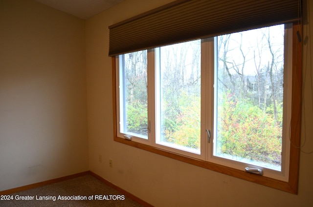 carpeted spare room featuring plenty of natural light