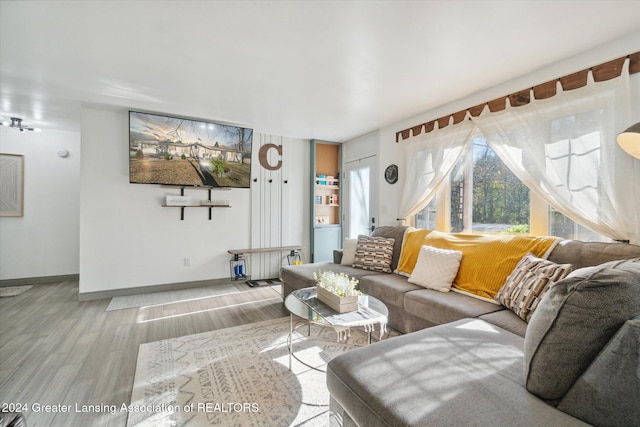 living room with wood-type flooring