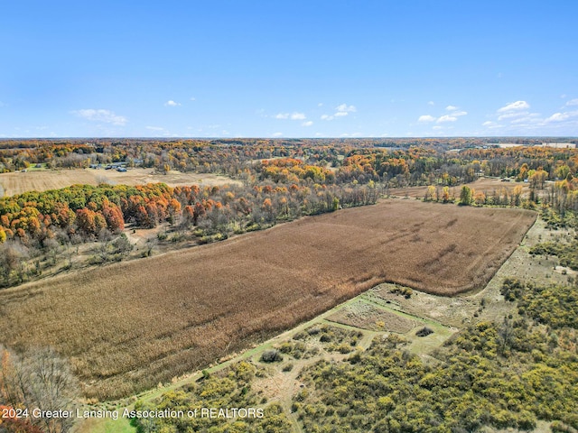 0 Dansville Rd, Mason, MI 48854 - photo 15