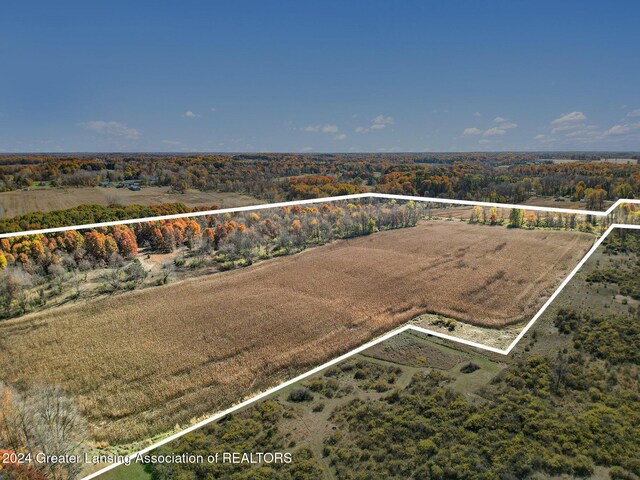 0 Dansville Rd, Mason, MI 48854 - photo 6