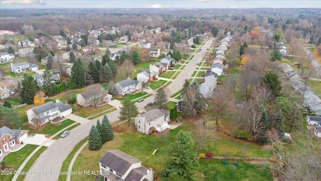 bird's eye view