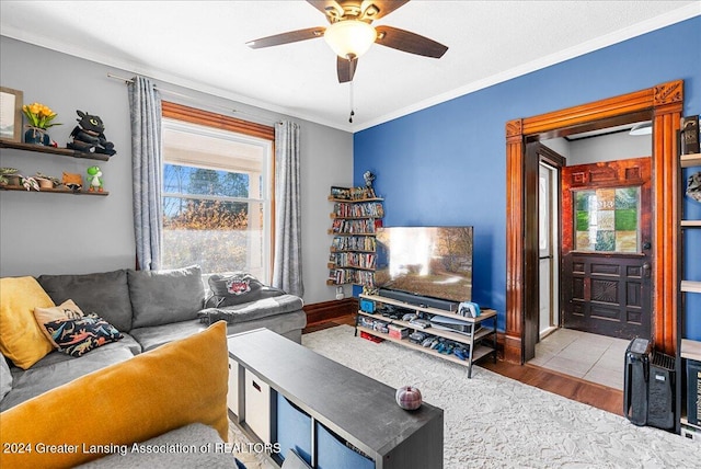 living room with ceiling fan, crown molding, and light hardwood / wood-style flooring