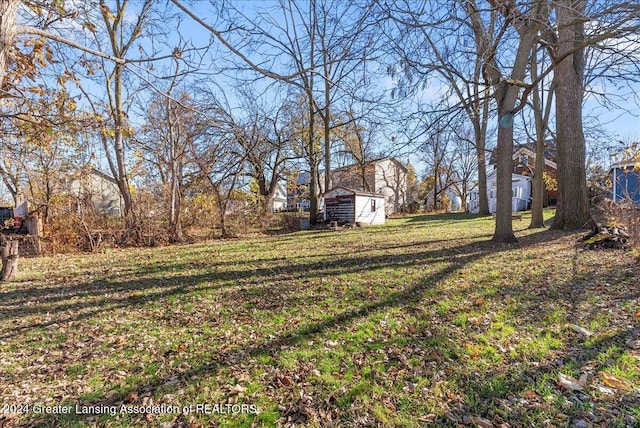 view of yard featuring a shed