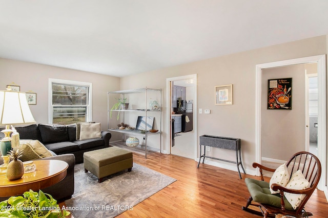 living room featuring wood-type flooring