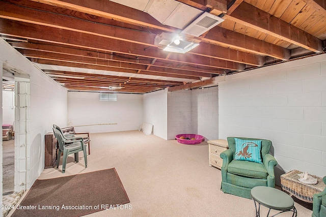 basement featuring carpet floors