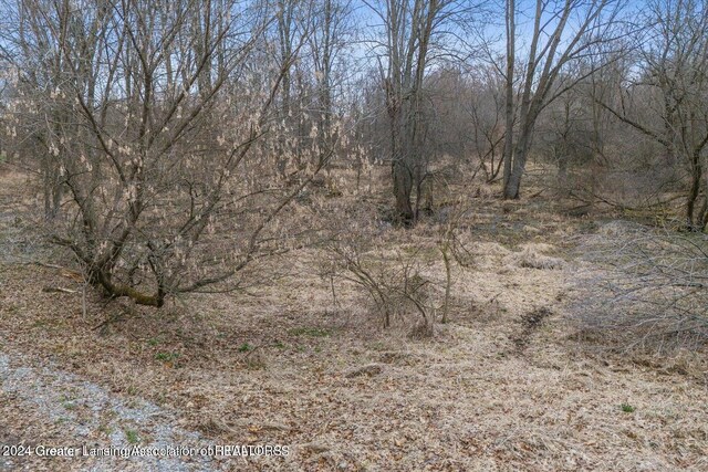 11315 Tamarack Trl, Bath, MI 48808 - photo 10