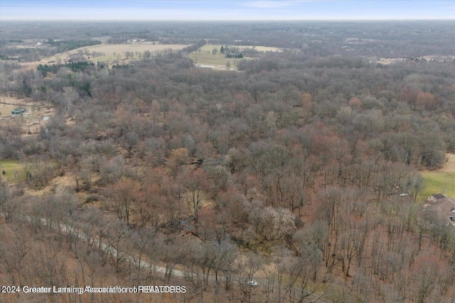 11315 Tamarack Trl, Bath, MI 48808 - photo 2