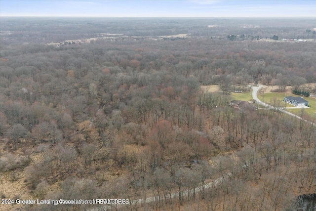 11315 Tamarack Trl, Bath, MI 48808 - photo 1