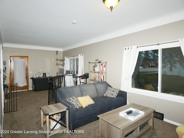 living room featuring carpet