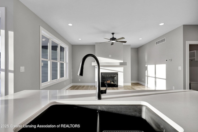 details with sink, hardwood / wood-style floors, and ceiling fan