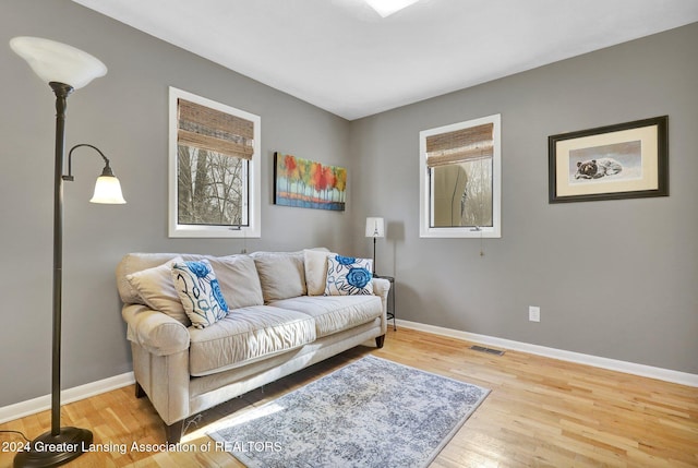 living room featuring hardwood / wood-style floors