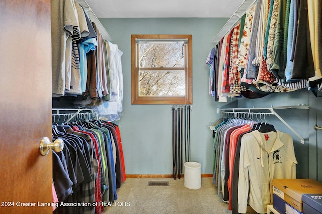 spacious closet with carpet