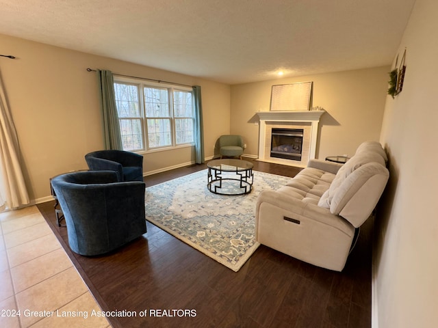 living room featuring hardwood / wood-style floors and a textured ceiling