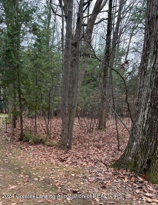 32 Deer Run Dr, Au Gres, MI 48703